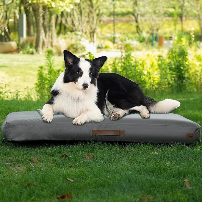 Inflatable Waterproof Travel Dog Bed portable design